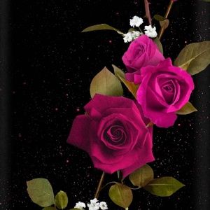 Meet your Posher, Tina